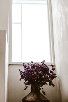 casa ambar boutique hotel tulum adults only