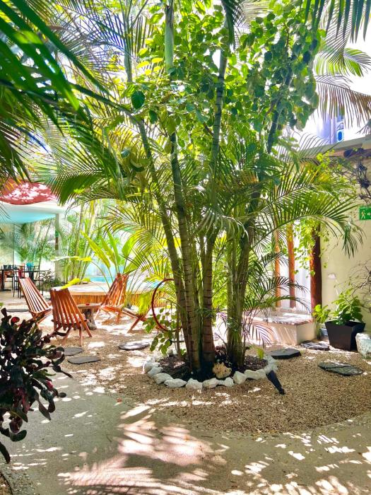 pacha tulum boutique hotel