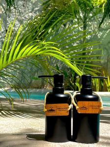 pacha tulum boutique hotel