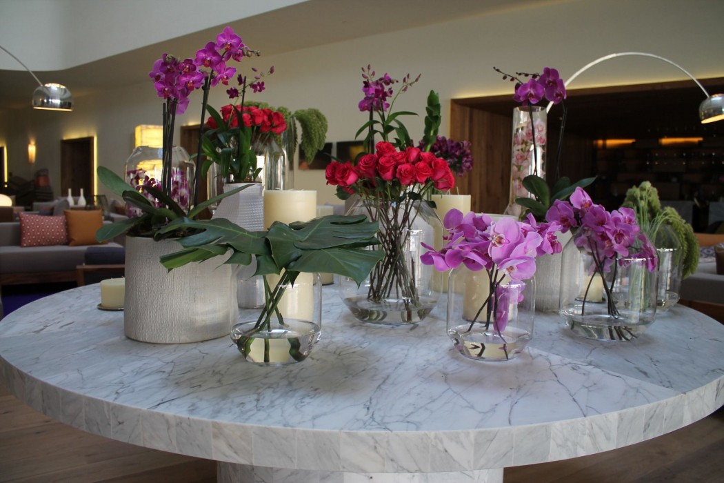 hyatt centric campestre leon