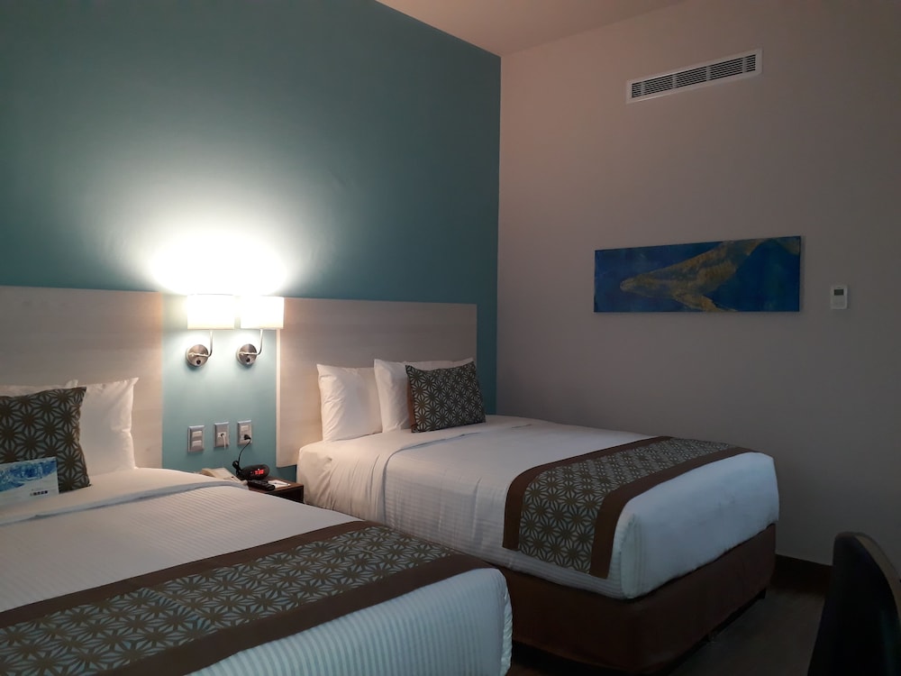 comfort inn and suites los cabos