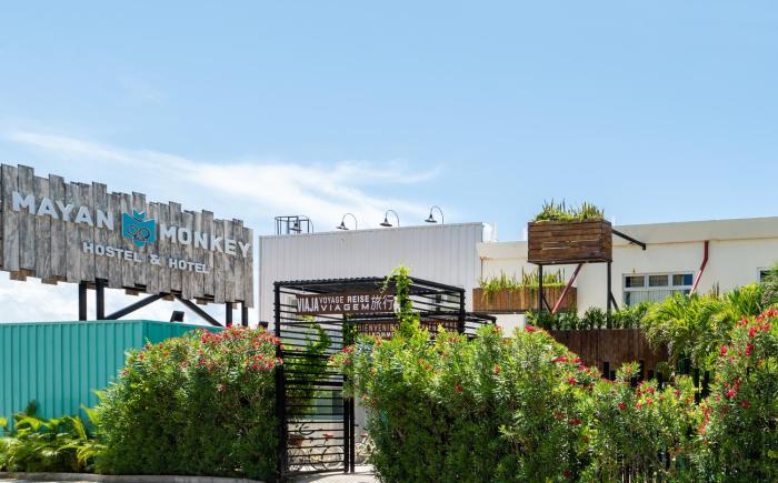 mayan monkey cancun adults only