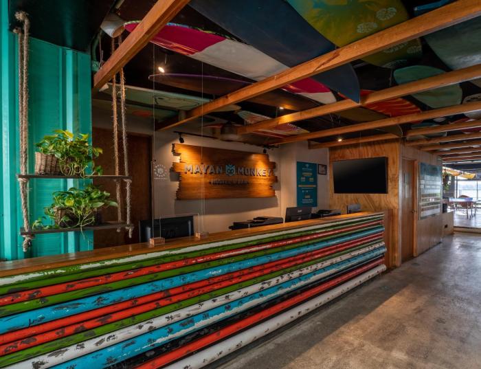 mayan monkey cancun adults only