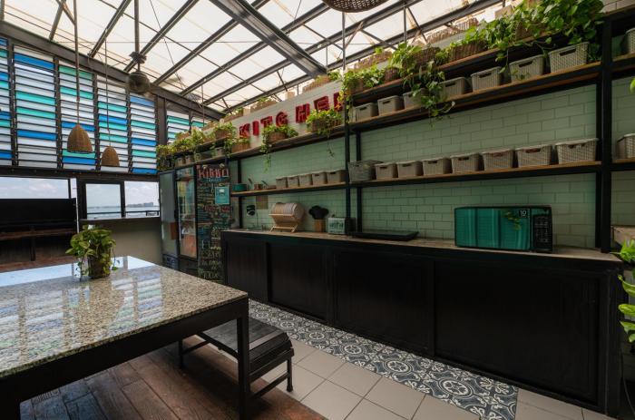 mayan monkey cancun adults only