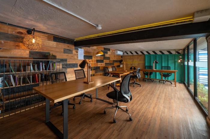 mayan monkey cancun adults only