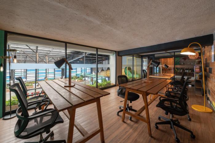 mayan monkey cancun adults only