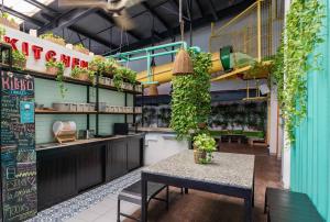 mayan monkey cancun adults only