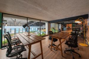 mayan monkey cancun adults only