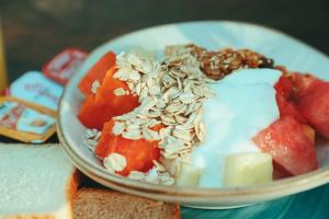 mayan monkey cancun adults only