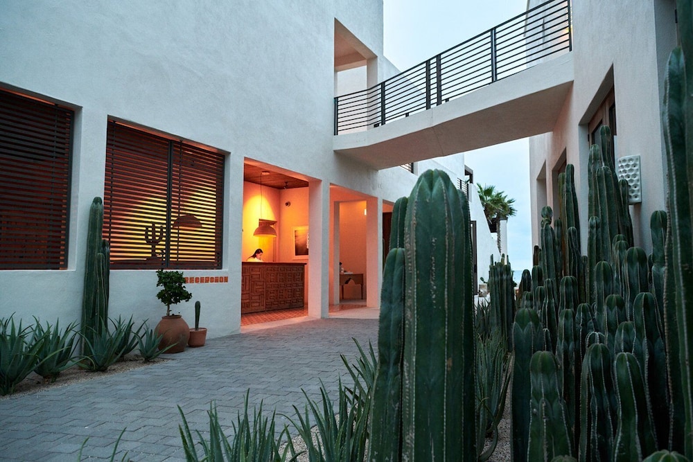 hotel san cristobal adults 15