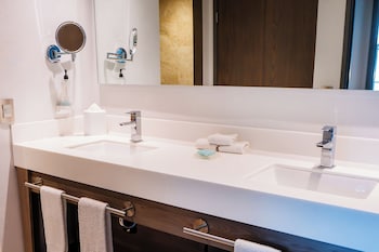 hilton garden inn mexico city santa fe