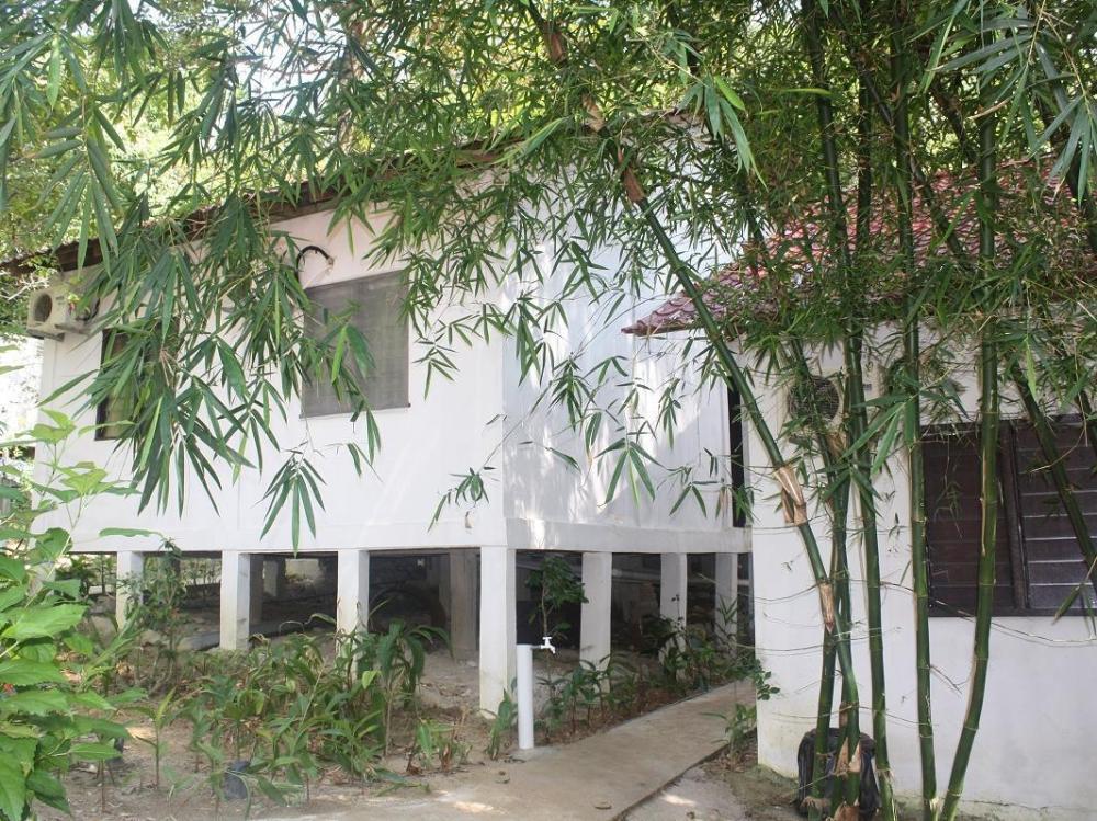 perhentian tropicana inn