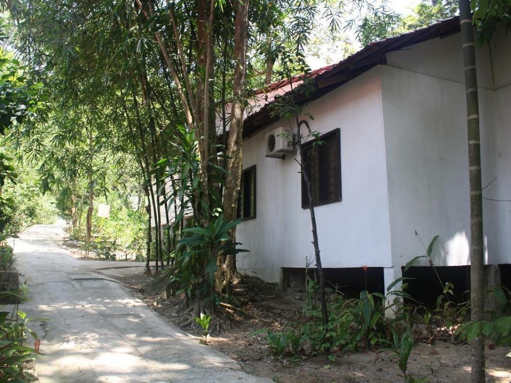 perhentian tropicana inn