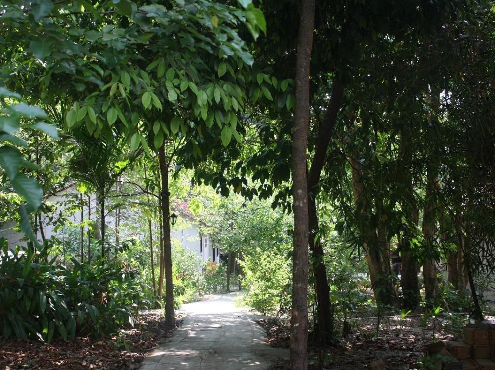 perhentian tropicana inn