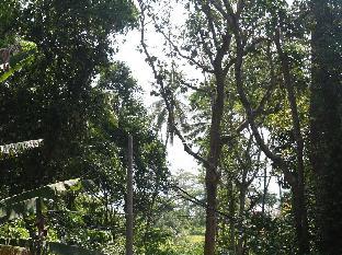 perhentian tropicana inn