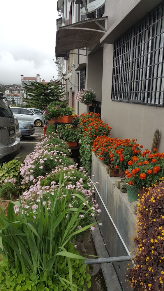 kpw at royal lily apartment