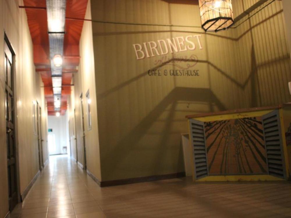 birdnest collective cafe and guesthouse