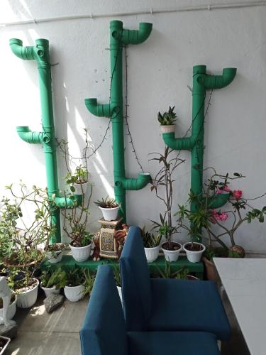 birdnest collective cafe and guesthouse