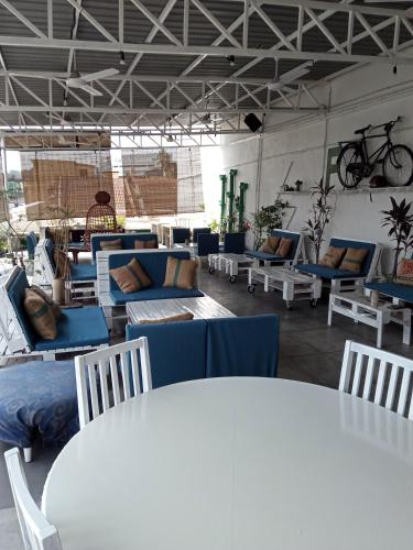 birdnest collective cafe and guesthouse