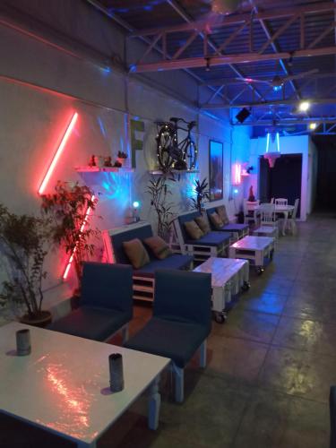 birdnest collective cafe and guesthouse