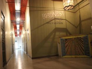 birdnest collective cafe and guesthouse