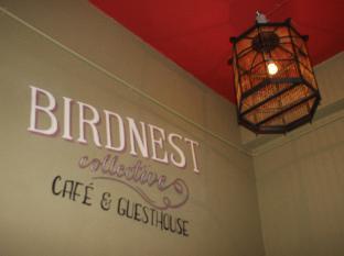 birdnest collective cafe and guesthouse