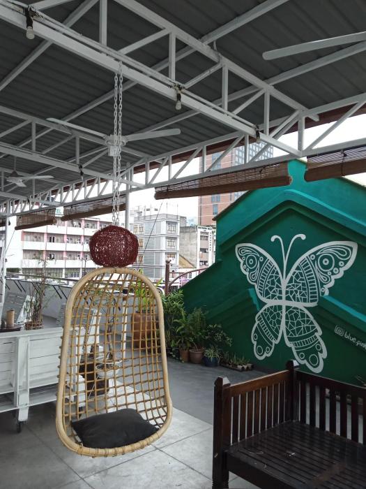 birdnest collective cafe and guesthouse