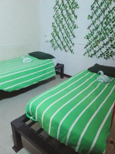 birdnest collective cafe and guesthouse