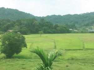 langkawi anjung villa