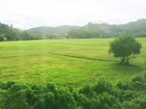 langkawi anjung villa