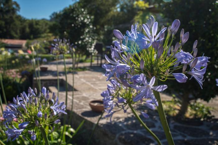 hotel quinta de san amaro