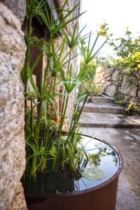 hotel quinta de san amaro