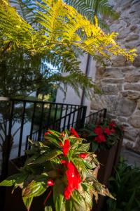 hotel quinta de san amaro