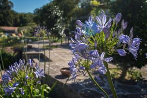 hotel quinta de san amaro