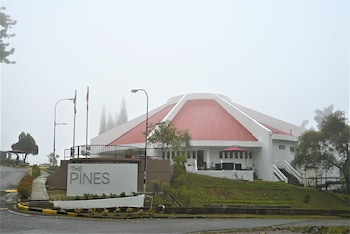 The Pines