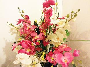 the bodhi lodge hostel