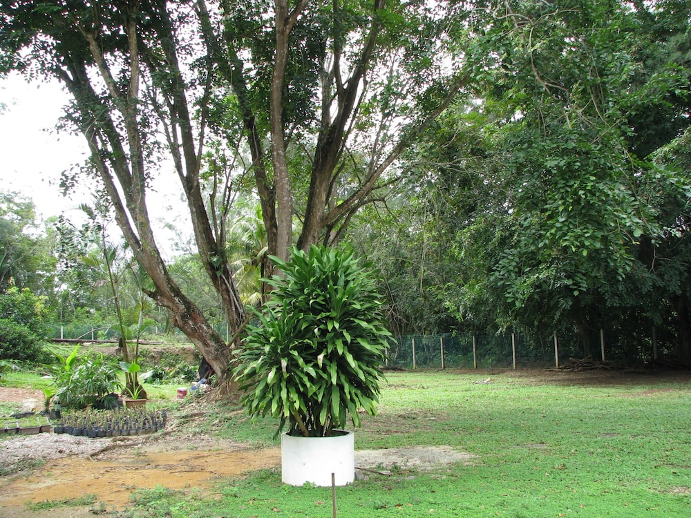 mersing merlin inn