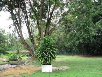mersing merlin inn