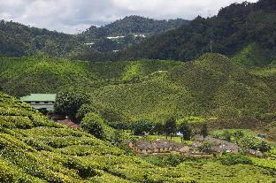 tanah rata