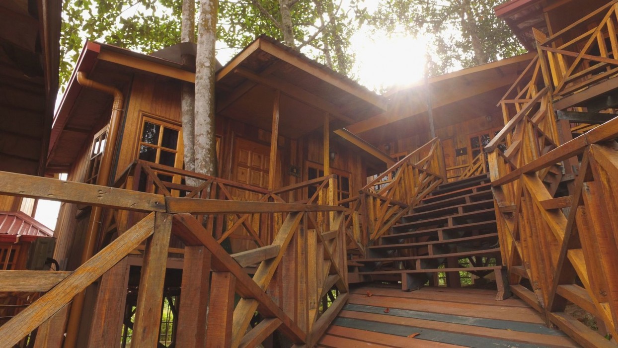 borneo tree house