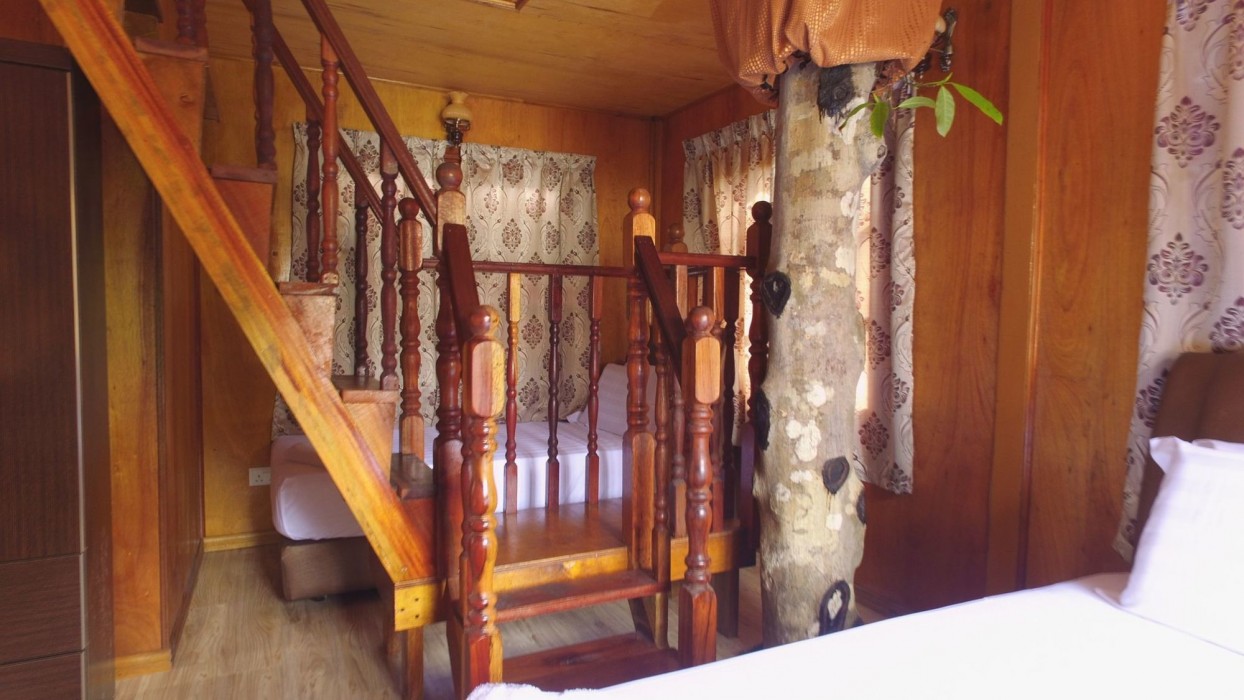 borneo tree house