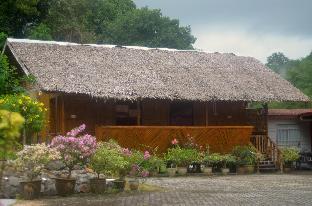 borneo tree house