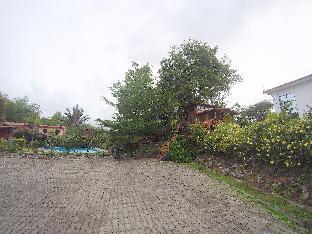 borneo tree house