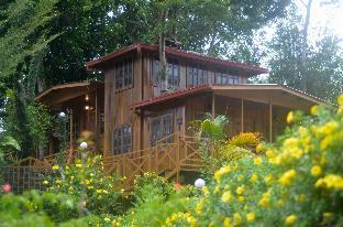 borneo tree house