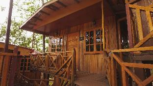 borneo tree house