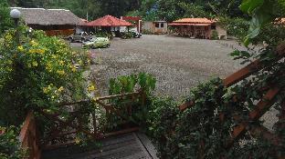 borneo tree house
