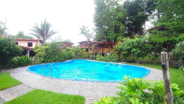 borneo tree house