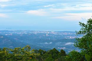 borneo tree house