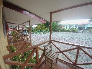 borneo tree house