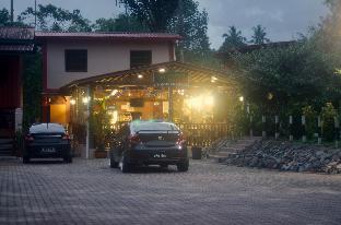 borneo tree house